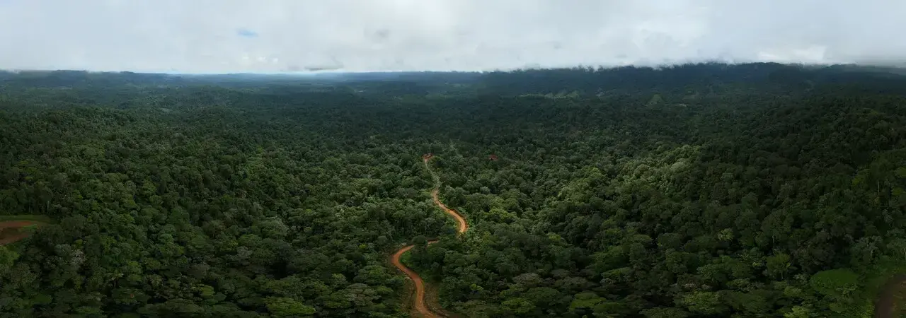 Una carretera atraviesa la selva del Chocó en Ecuador.