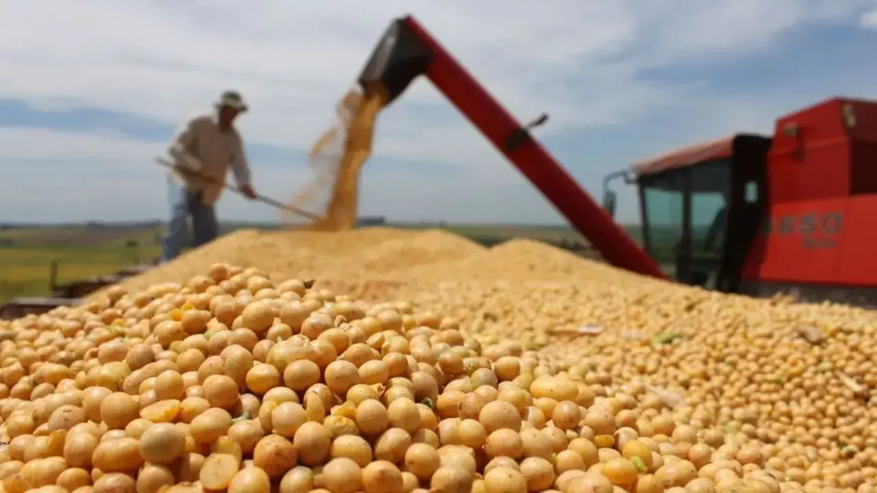 Producción agropecuaria de soya en Santa Cruz.