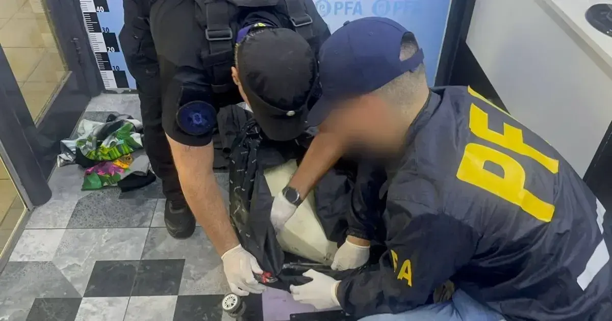 Imagen sin título