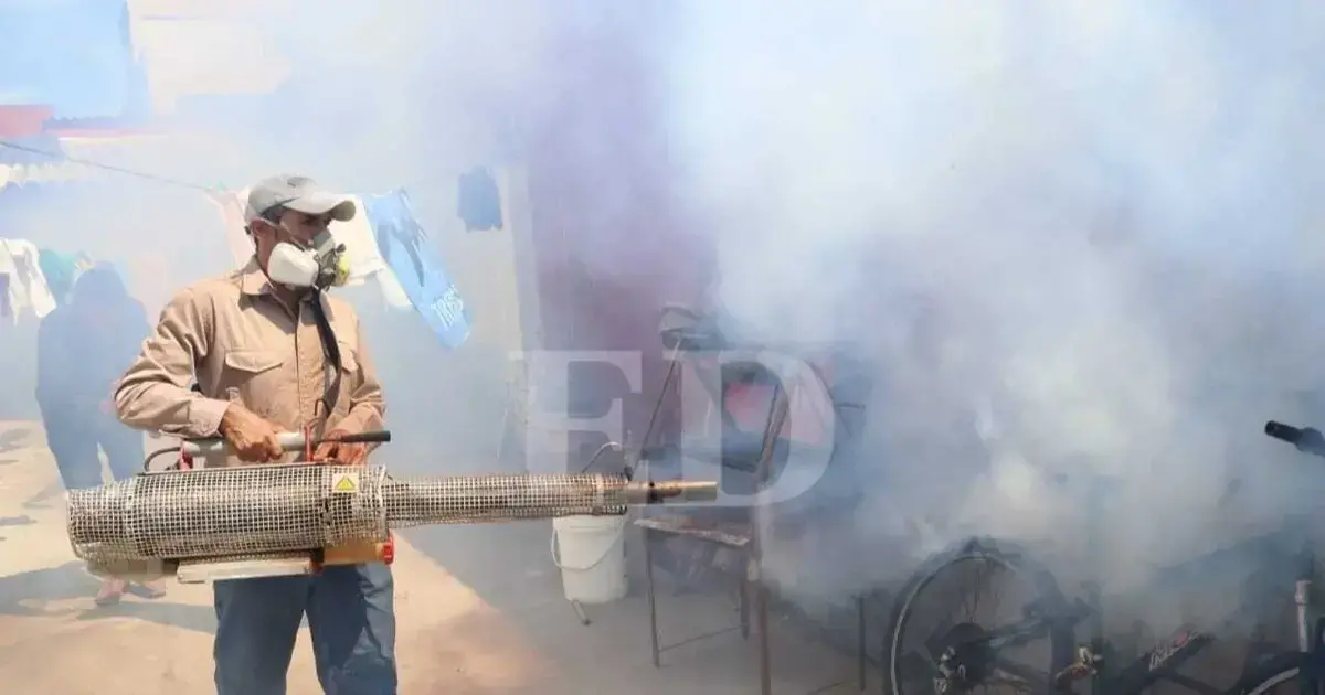 Brigada de fumigación en el barrio El Progreso, zona de la Mutualista