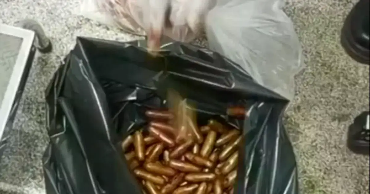 Imagen sin título