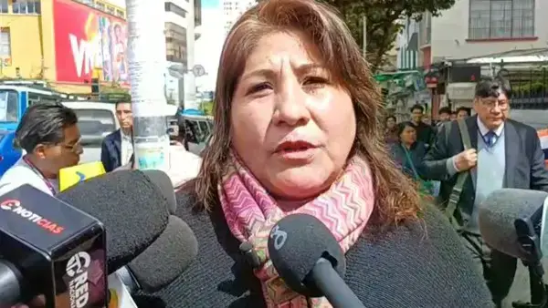 La representante de Conamype, Helen Rivero, se pronuncia sobre el proyecto de ley para condonar deudas tributarias.
