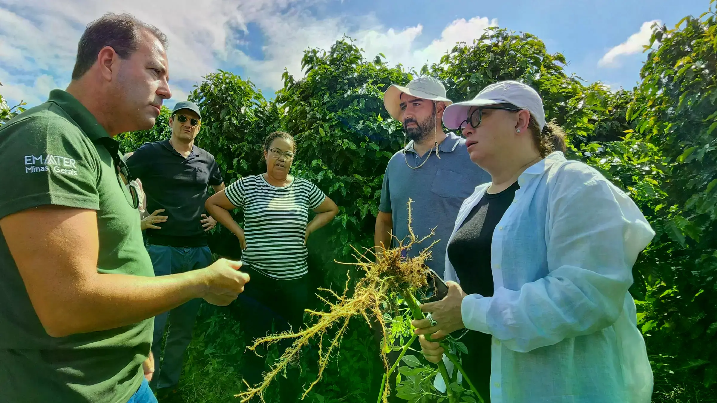 Representantes del programa AL-INVEST Verde visitan plantaciones de café en Minas Gerais.