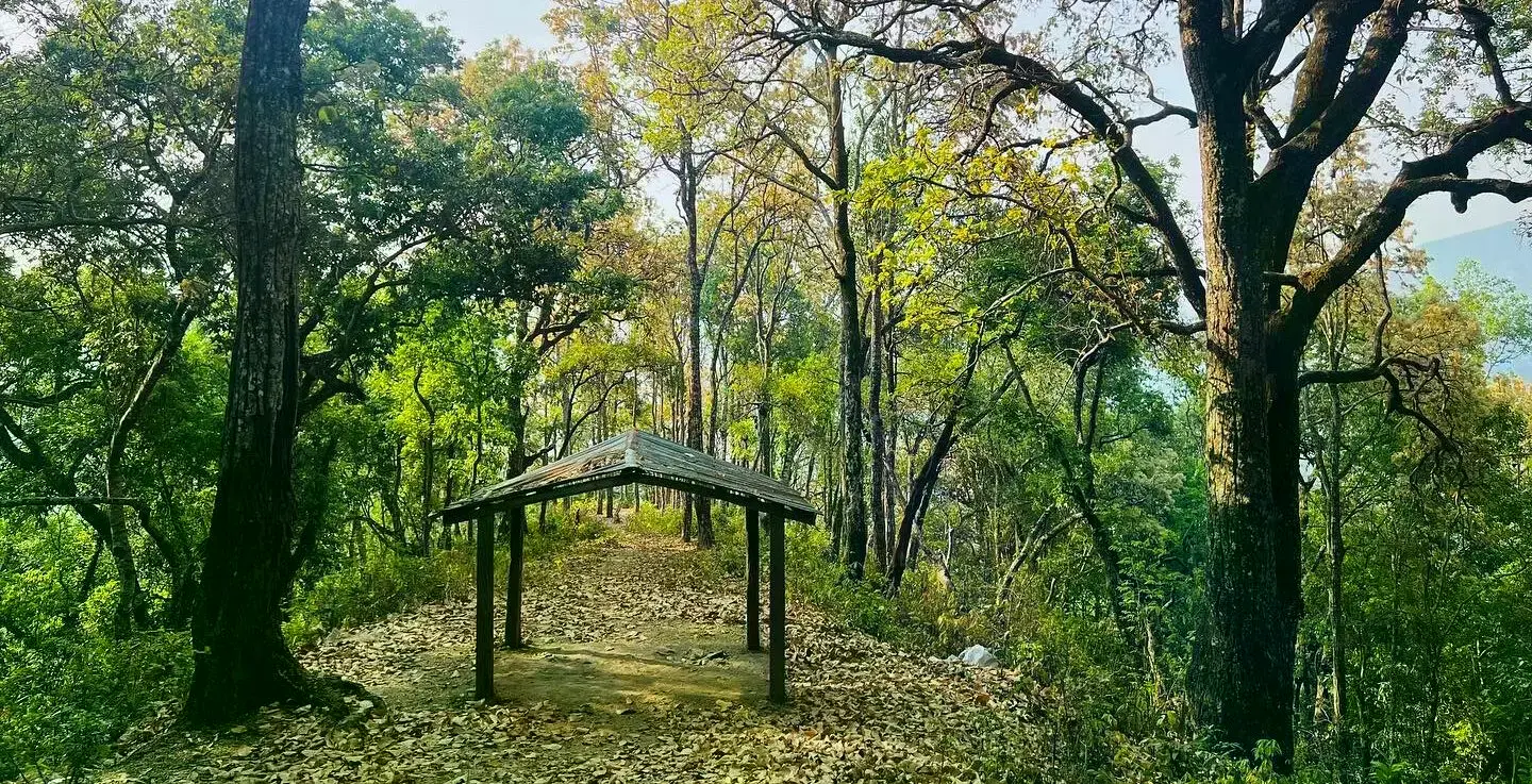 Una mujer en su granja de agroforestería en Kavre, Nepal.