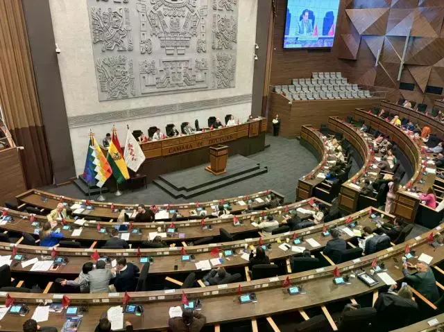 La Cámara de Diputados debe elegir a los nuevos vocales del TED.