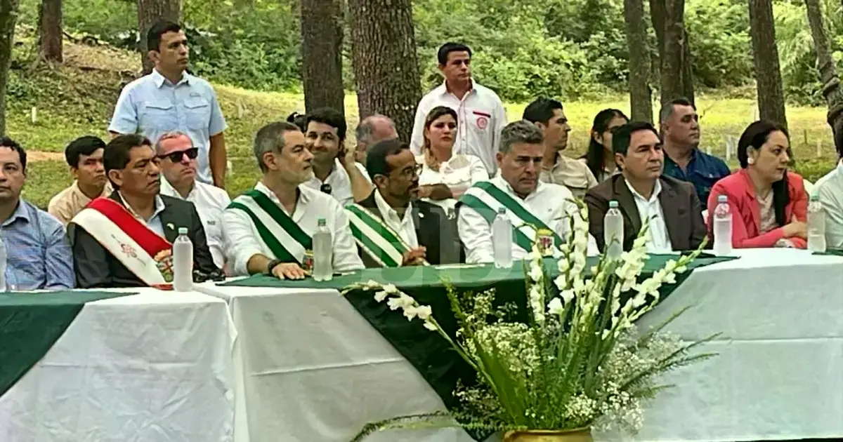 Imagen sin título