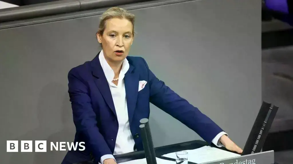 Alice Weidel, copresidenta de la AfD, habla en una conferencia de prensa.