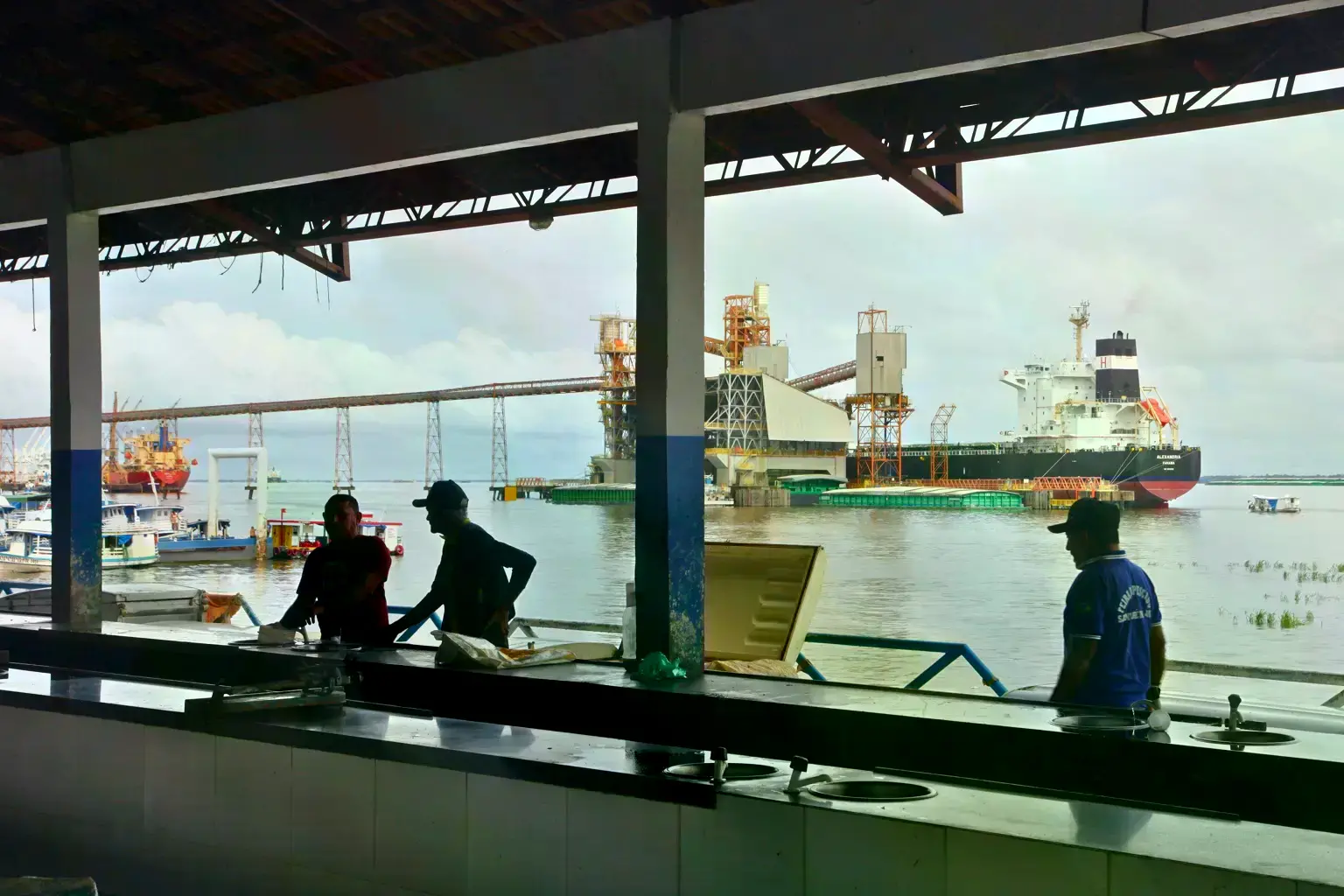 Vista del río Tapajós con el terminal de soja de Cargill al fondo.