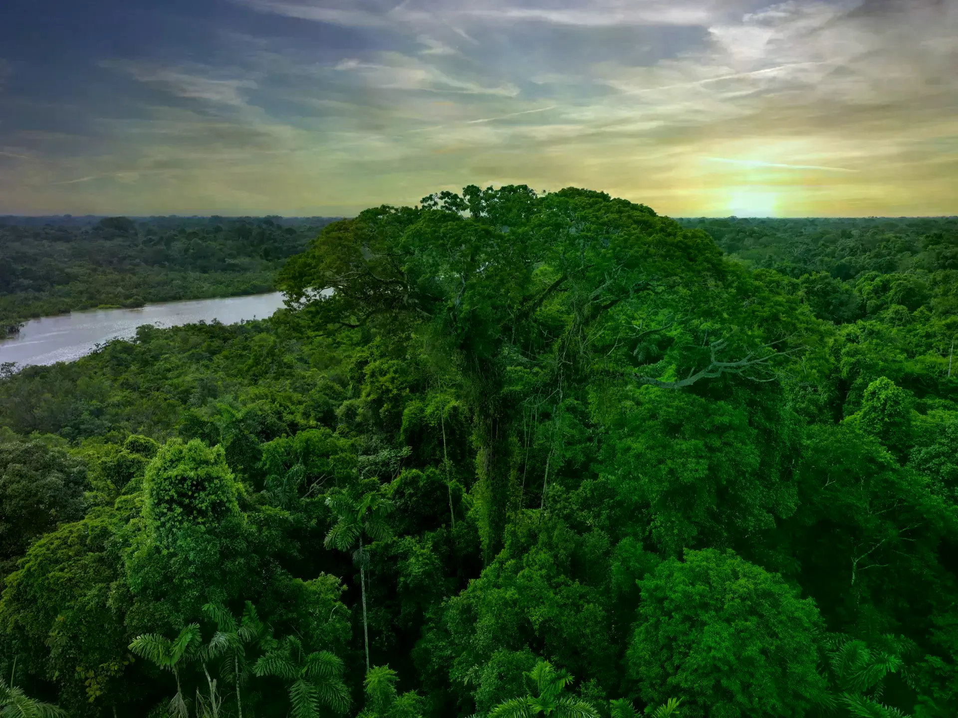Un camino donde los Andes se encuentran con la Amazonía en Ecuador.