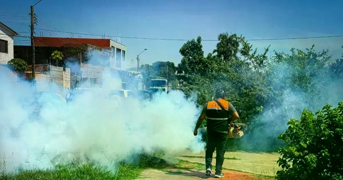 Imagen sin título