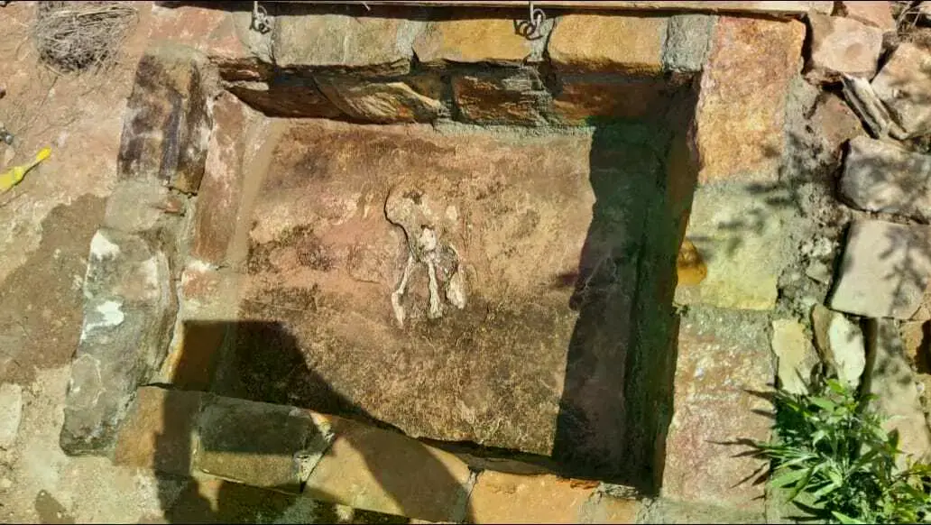 El fósil petrificado en el Parque Nacional Toro Toro.