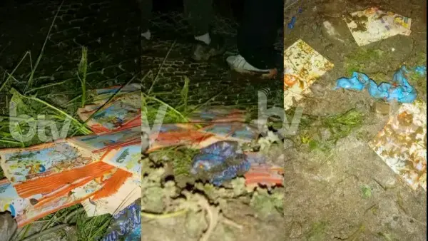 Billetes que se encontraban en la aeronave siniestrada.