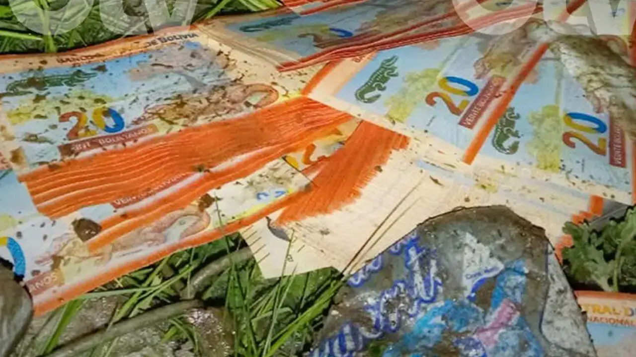 Dinero que se encontraba dentro de la avioneta que se accidentó ayer.