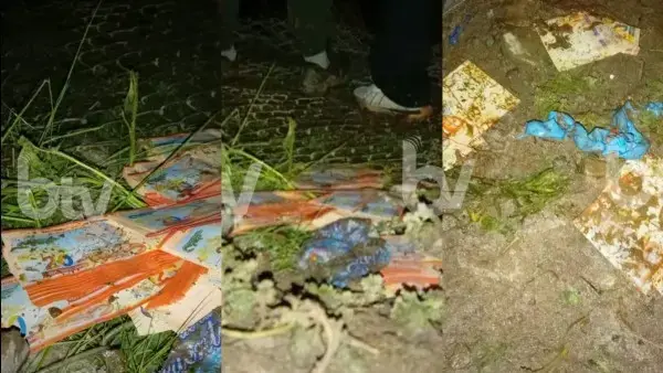 Los billetes que se encontraban en la aeronave siniestrada.