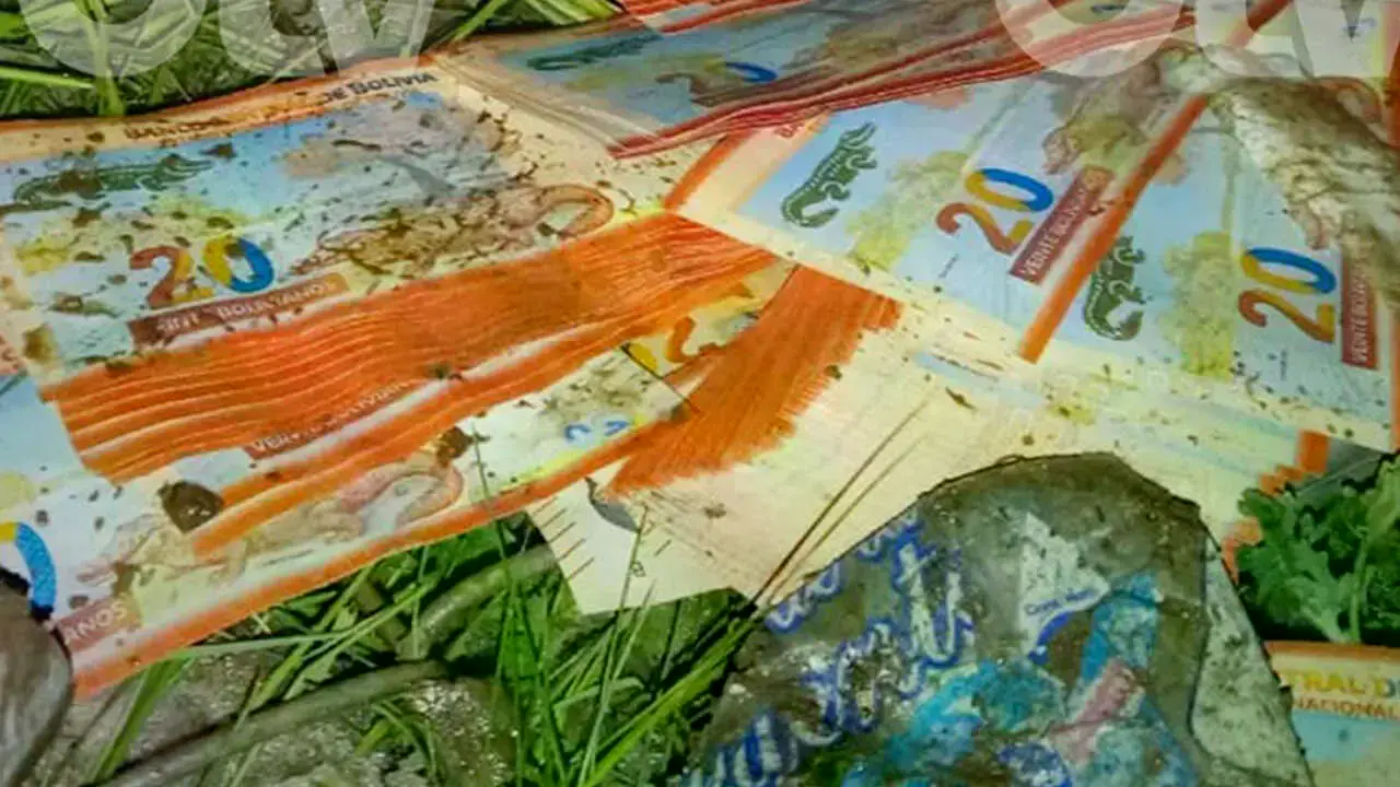 Dinero que se encontraba dentro de la avioneta que se accidentó ayer.