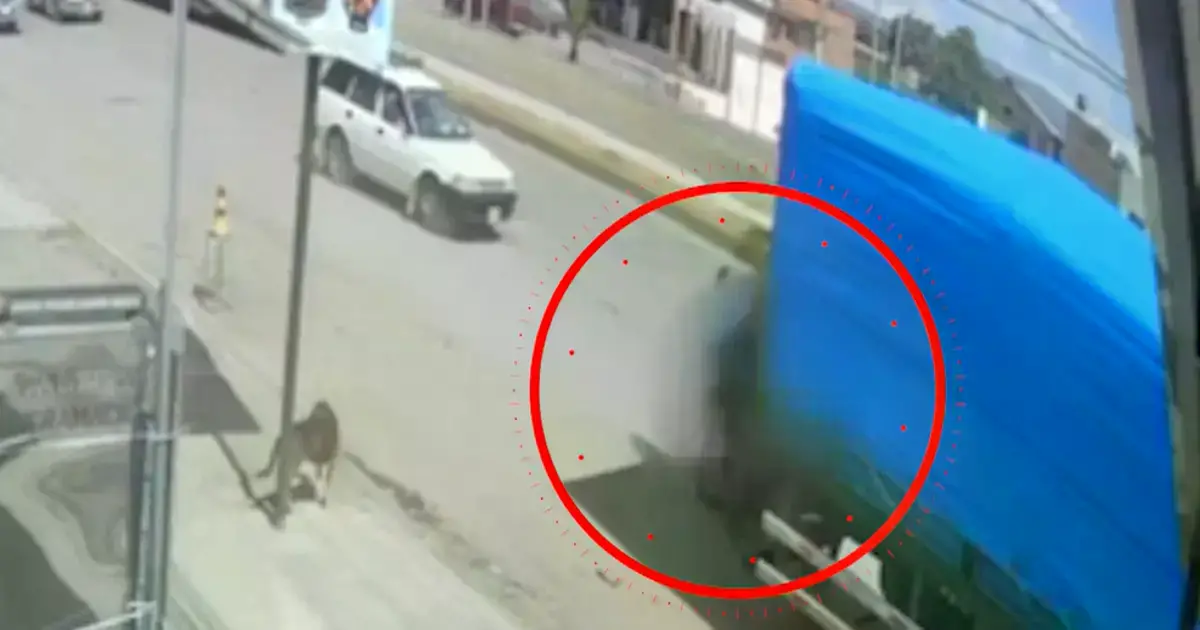 Momento en el que la moto impacta contra el tráiler.