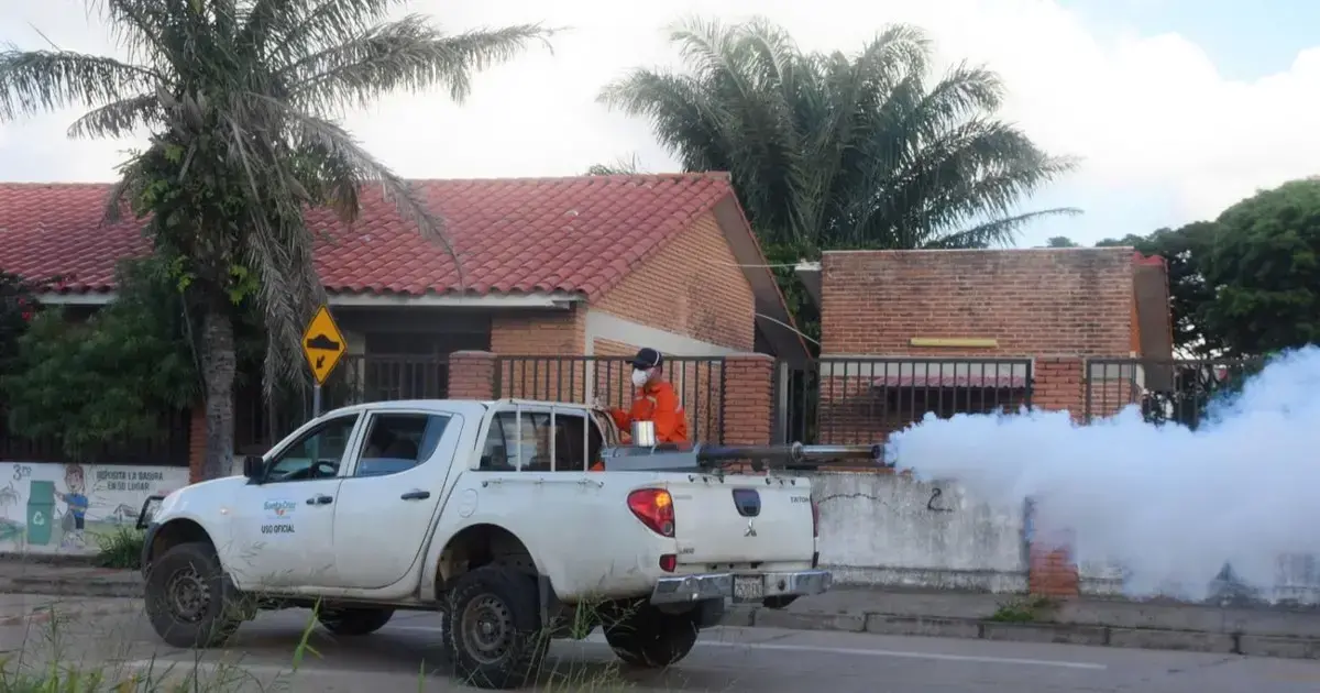 Fumigación en los distritos