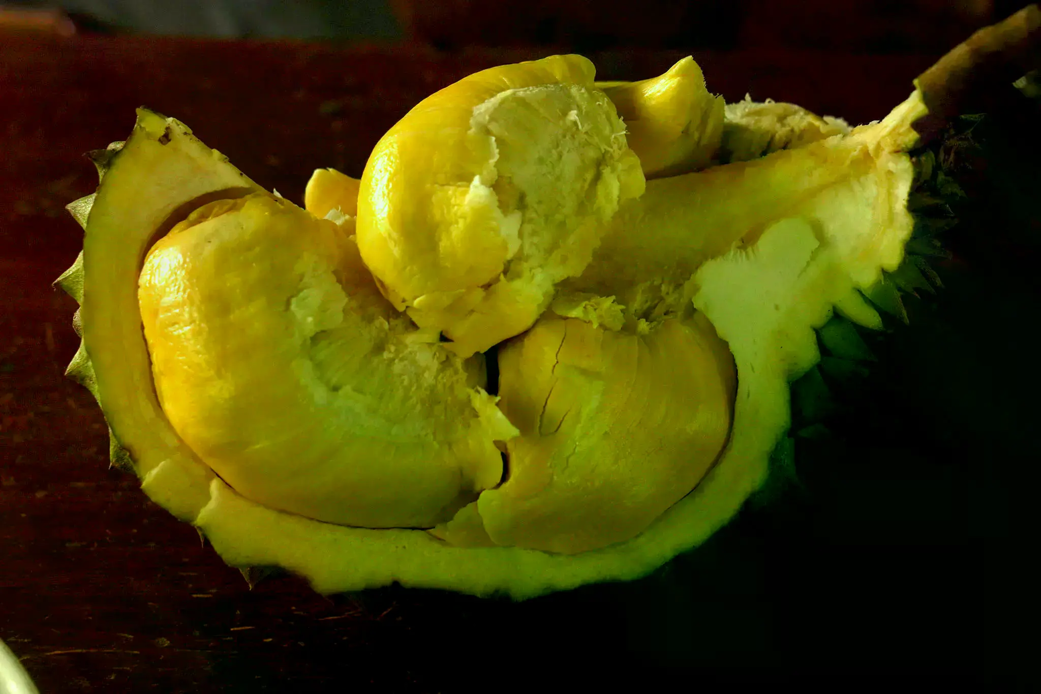 Ganjar muestra los tambores usados para producir fertilizante natural.