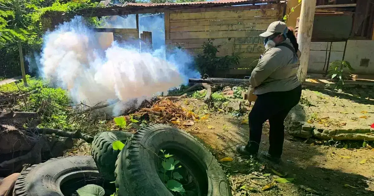 Minga y fumigacion contra el mosquito del chikungunya