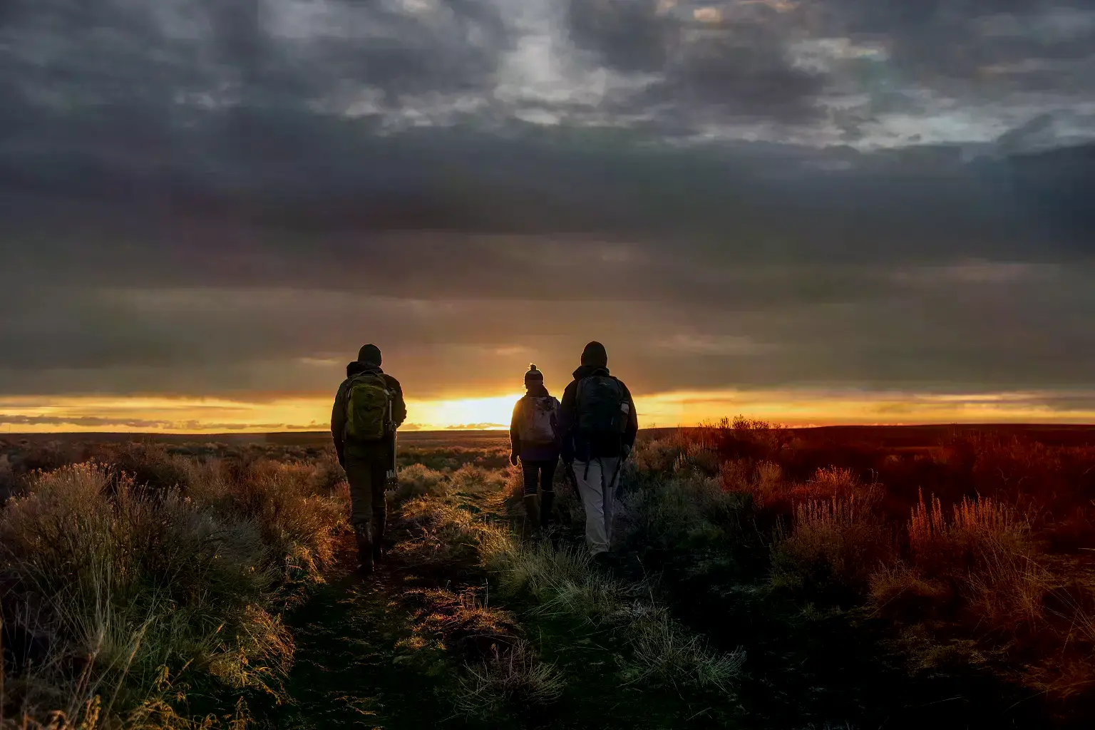 Ilustración de un arcoíris sobre un bosque lluvioso en Borneo Malasio.