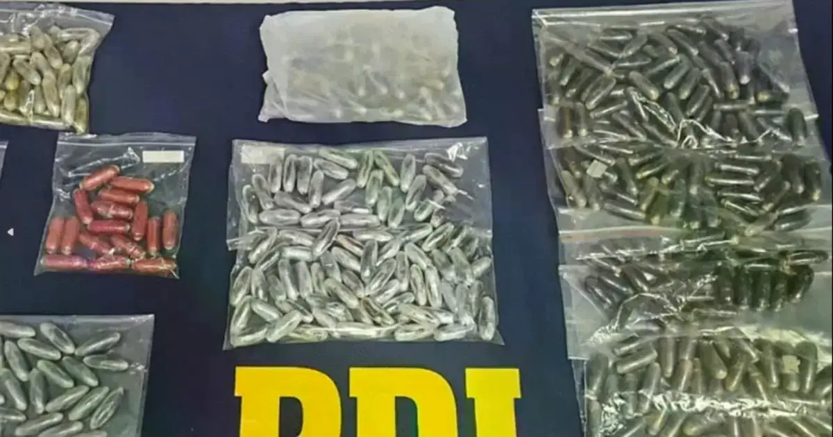 Parte de la evidencia secuestrada en operativos en Chile