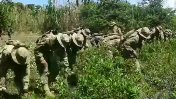 Agentes de la Fuerza de Tarea Conjunta erradican cocales ilegales en el Chapare.