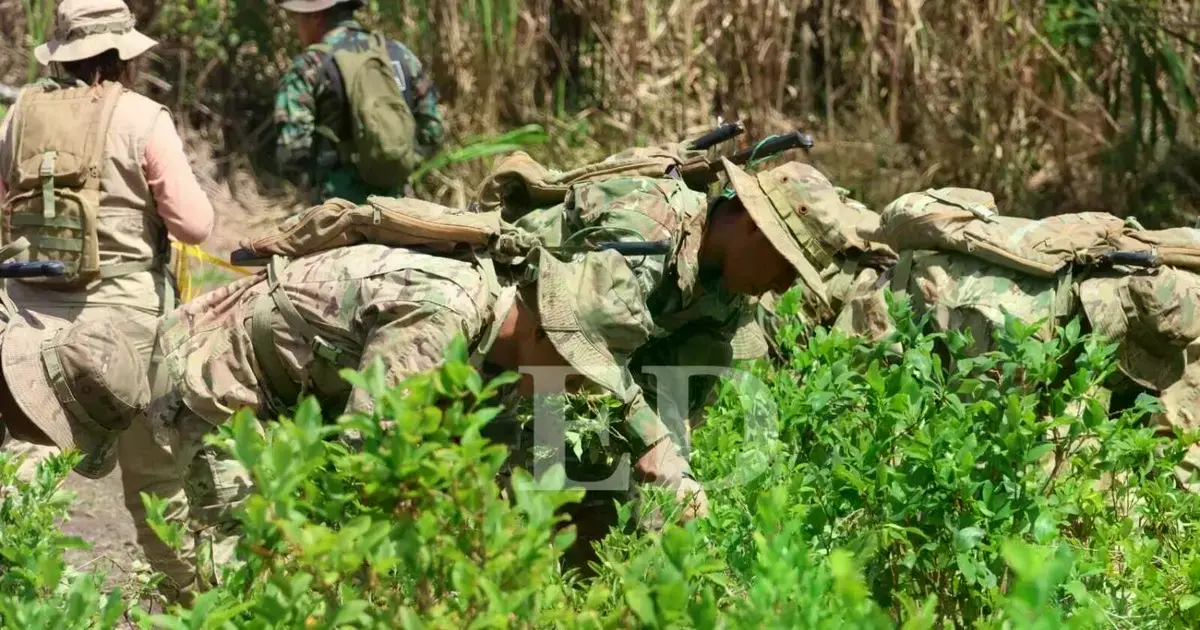 El Gobierno movilizó a los militares para erradicar la coca excedentaria en el Trópico de Cochabamba
