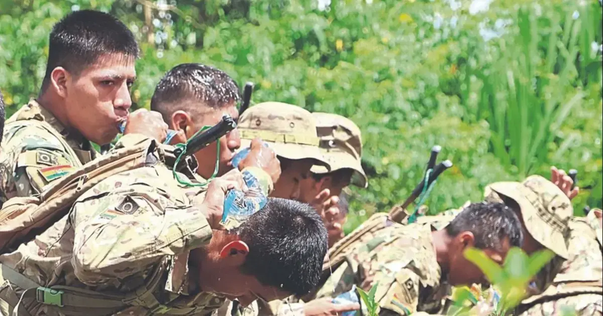 Soldados del Ejército se desplazaron para erradicar cocales ilegales cerca de Chimoré.