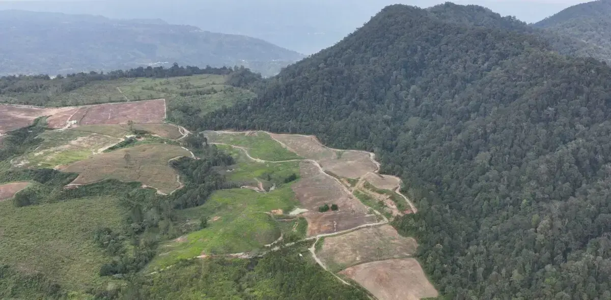 Indígenas en la aldea de Natinggir quieren gestionar su tierra tras la revocación del permiso de PT TPL.