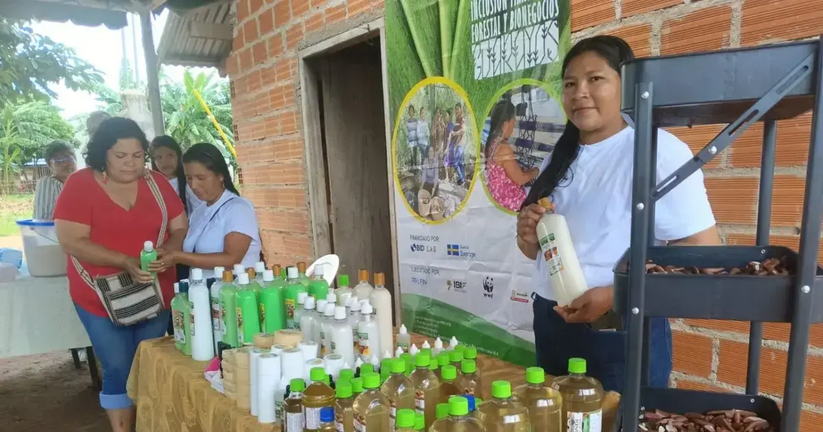 Productos derivados del cusi en las áreas alimenticia, cosmética y medicinal.