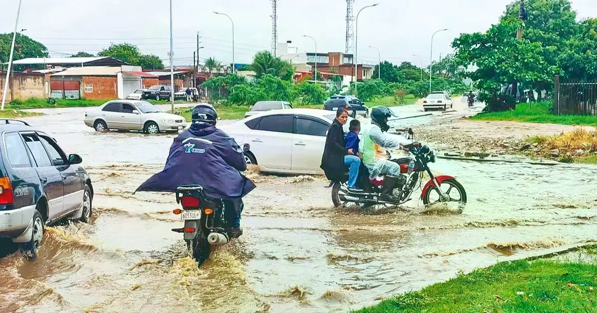 Imagen sin título