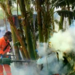 Santa Cruz confirma sexta muerte por chikungunya y casi 5.000 casos