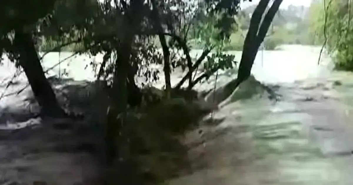 Imagen sin título