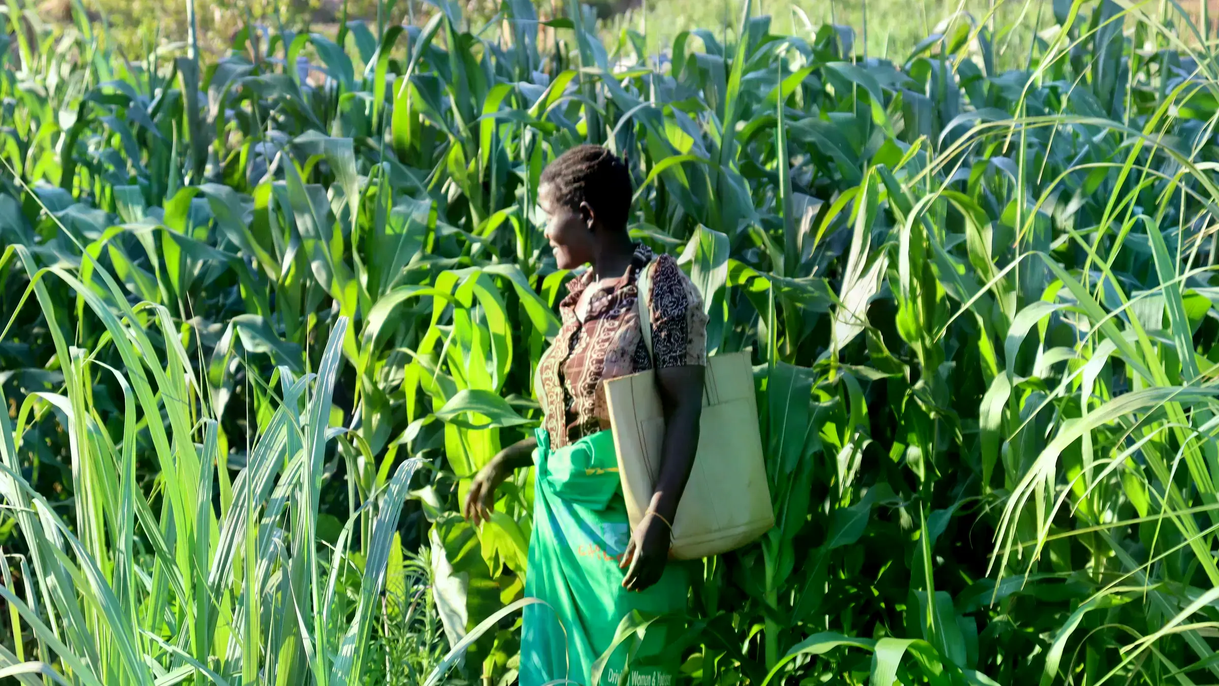 Grena Banda y Daniel Mwafulirwa, agricultores que adoptaron agroecología.