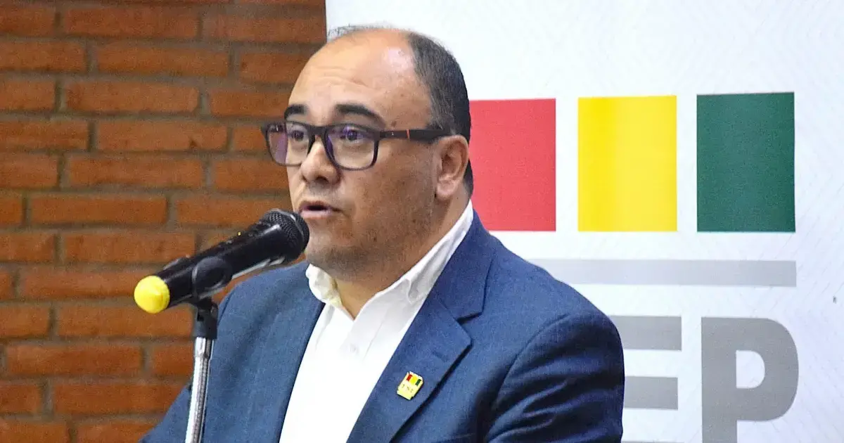 El presidente del Tribunal Supremo Electoral (TSE), Gustavo Ávila.