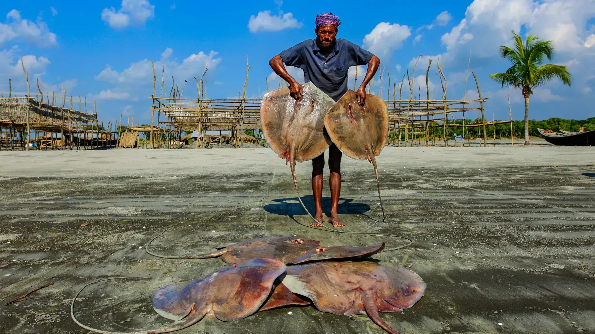Un pescador sostiene dos rayas de su captura.