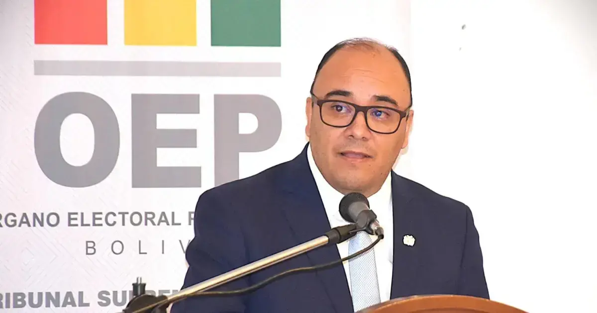 El presidente del TSE, Gustavo Ávila.