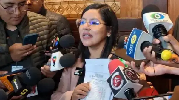 La diputada de Alianza Libre, Lissa Claros.