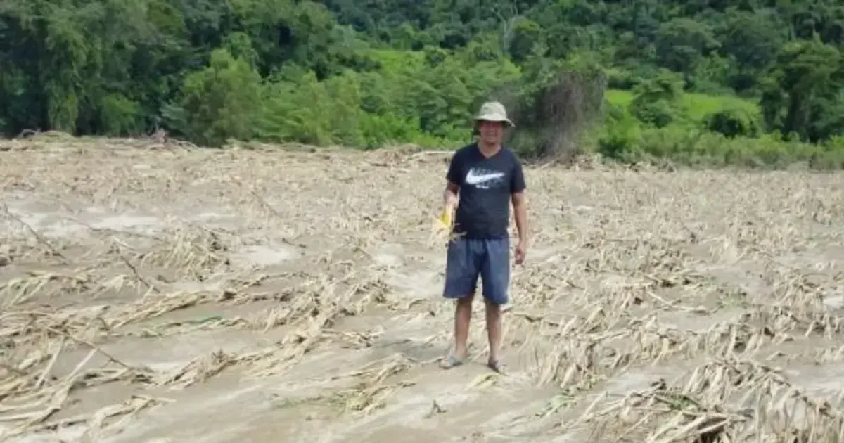 Cultivos afectados por el agua