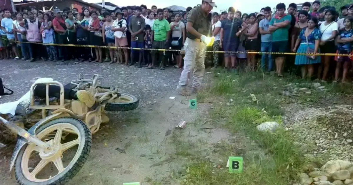 Imagen sin título