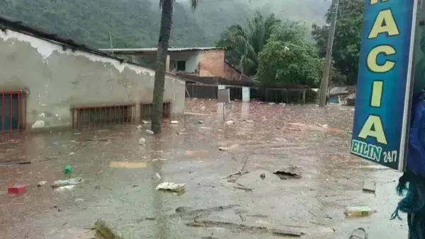 Parte de las casas afectadas por el desborde del río en Tipuani.