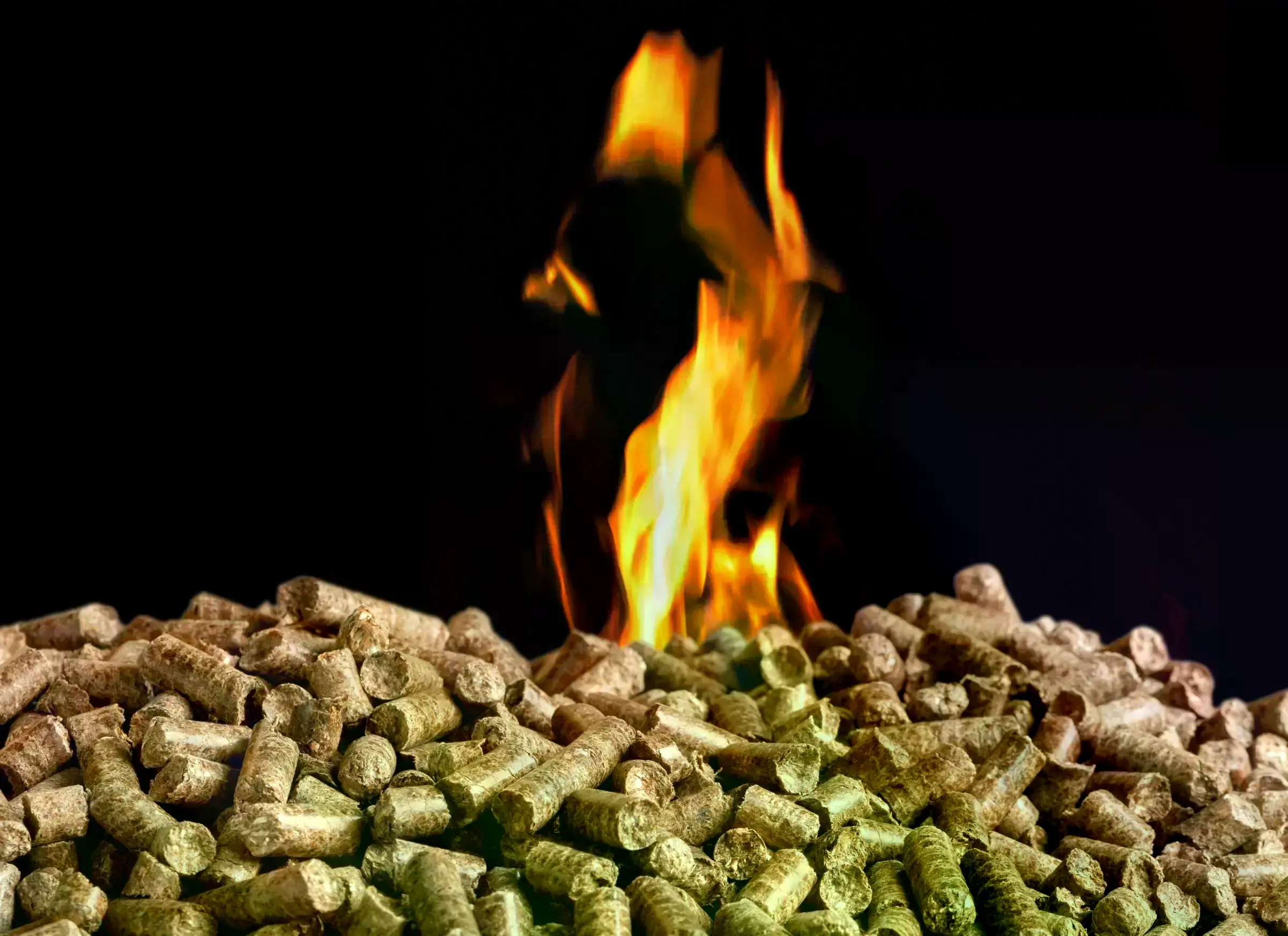 Pellets de madera para energía de biomasa.