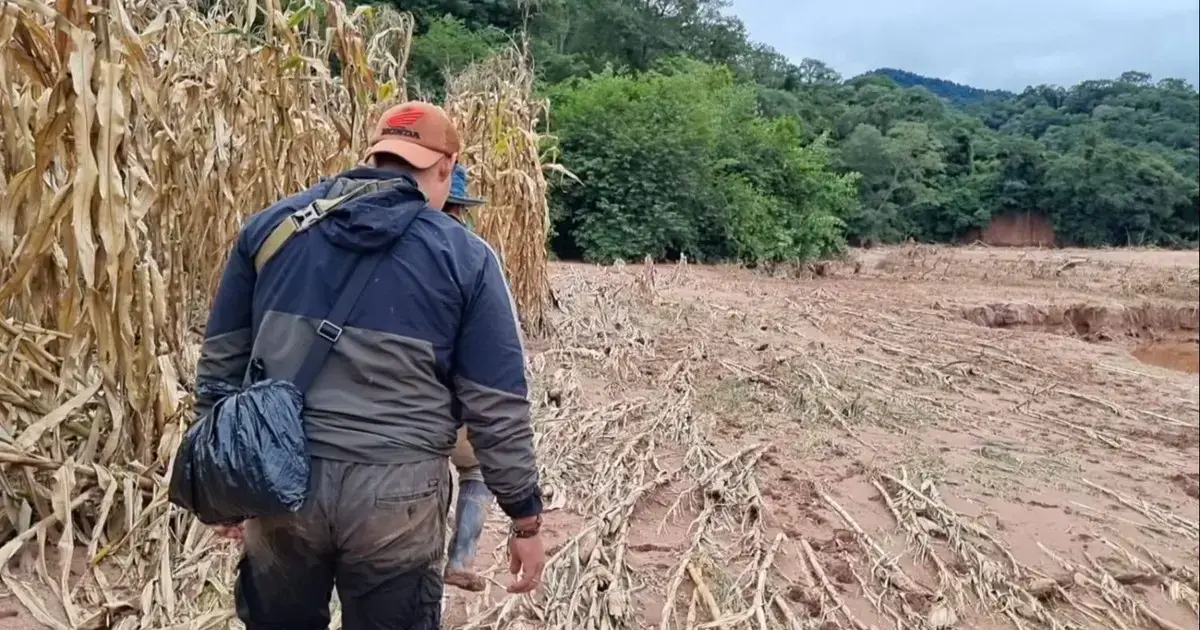 Imagen sin título