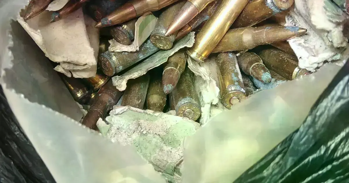 Una bolsa con armas largas y municiones de grueso calibre fue encontrada en el interior de un micro.