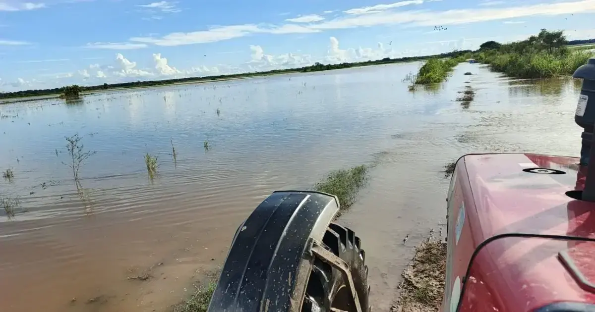 Decenas de hectáreas de cultivos quedaron anegados en la región norte de Santa Cruz.