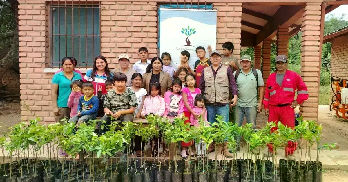 Acciones de reforestación en varios municipios del país.