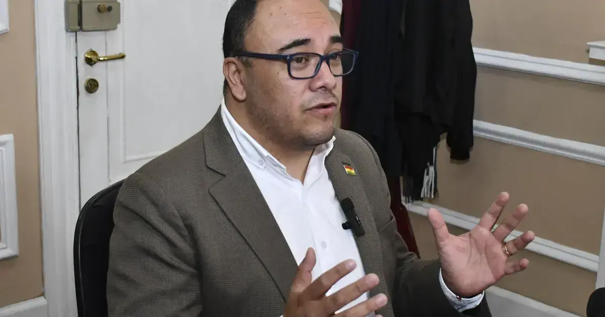 Presidente del Tribunal Supremo Electoral, Gustavo Ávila