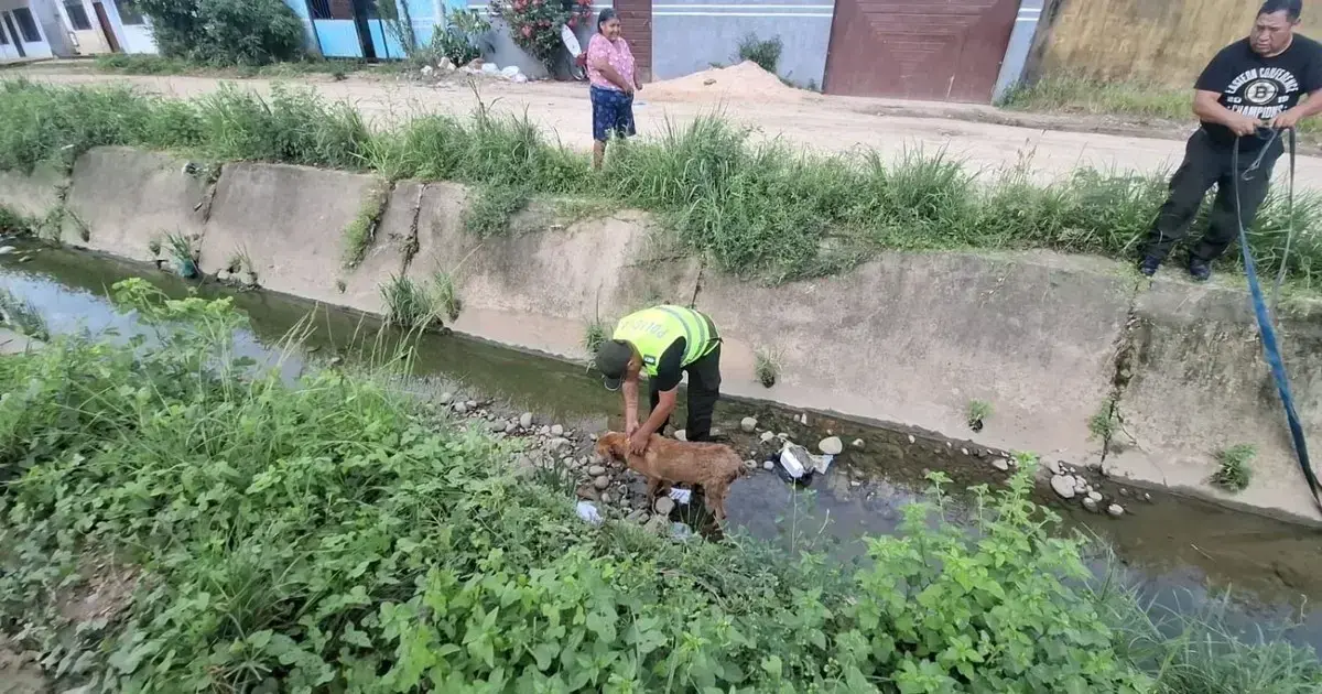 Policía rescata a perro atrapado en canal de drenaje en Yapacaní