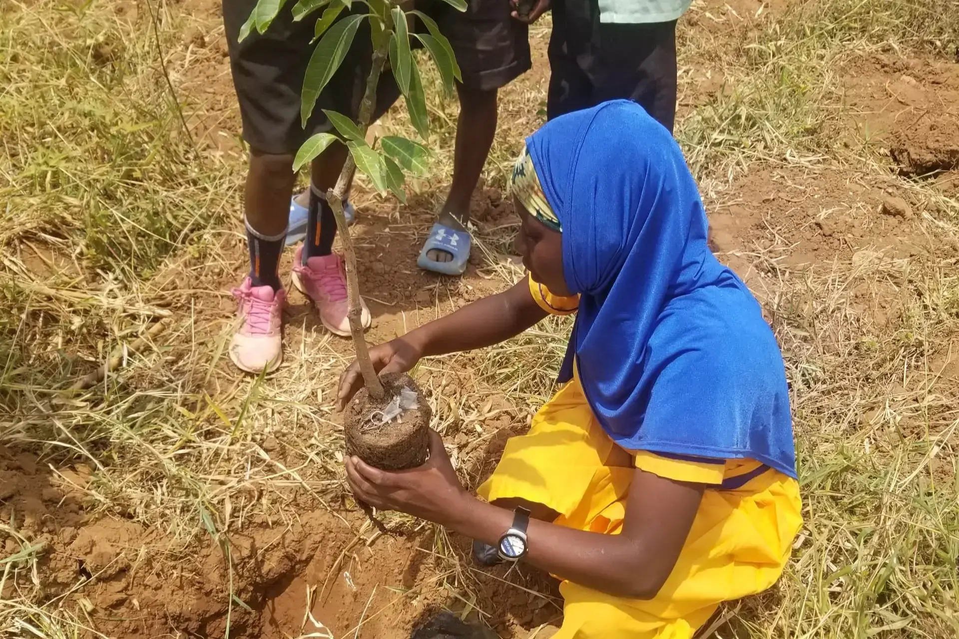 Estudiantes plantan especies de árboles autóctonos y frutales en terrenos escolares.