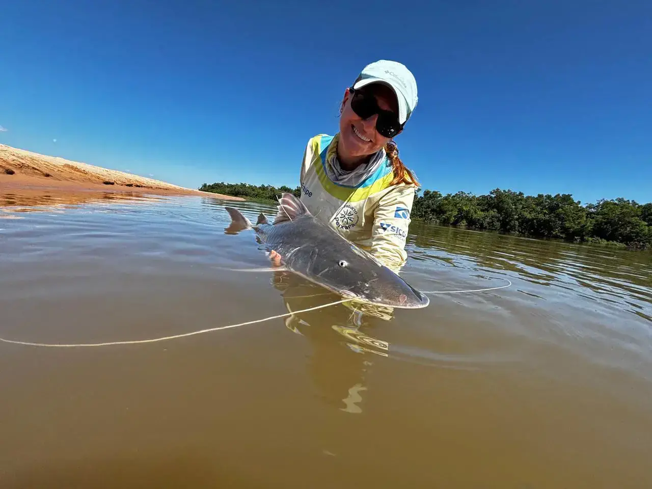 Un investigador implanta un transmisor de radio en un piraíba, el bagre más grande de Sudamérica, en el río Araguaia, Brasil.